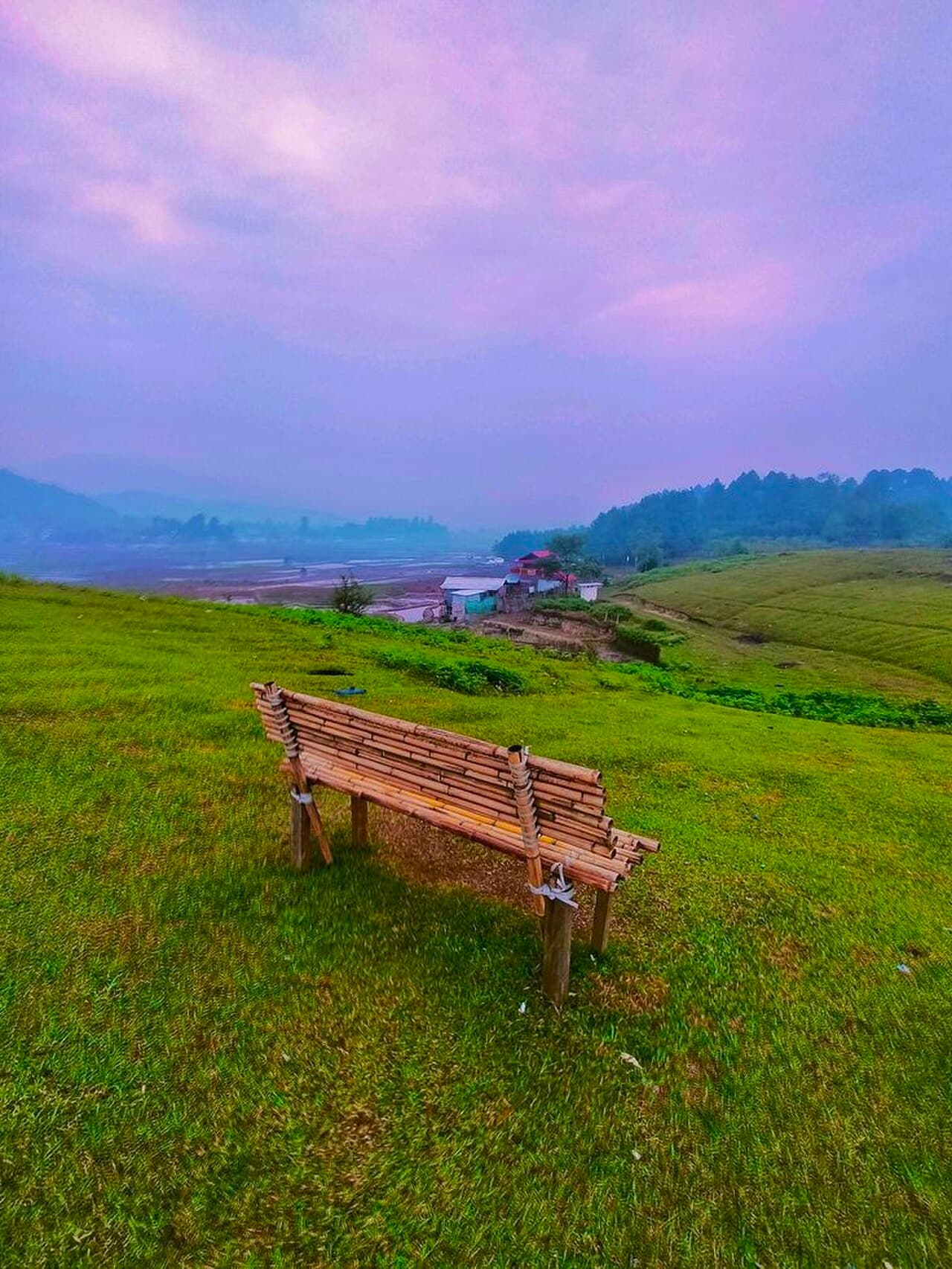 Ziro Music Festival